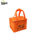 Sedex Promotional Hot Selling Non Woven Cooler Bag for Bottles